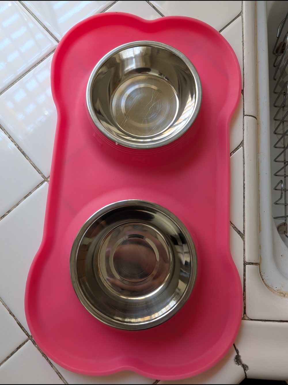 Pink Double Pet Bowl with Silicone Bone Placemat